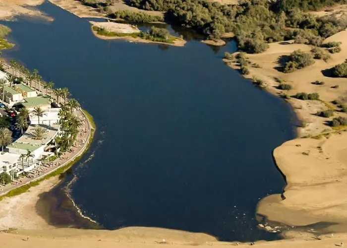 Oasis Canaria