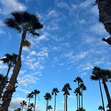 Apartamento Oasis Canaria