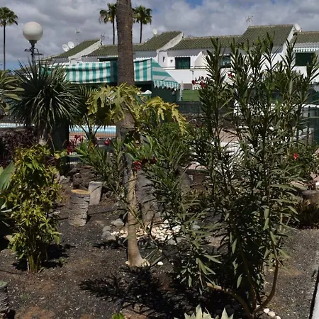 Oasis Canaria