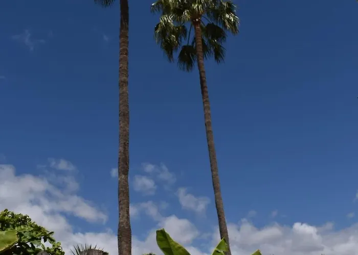 Oasis Canaria Maspalomas (Gran Canaria)